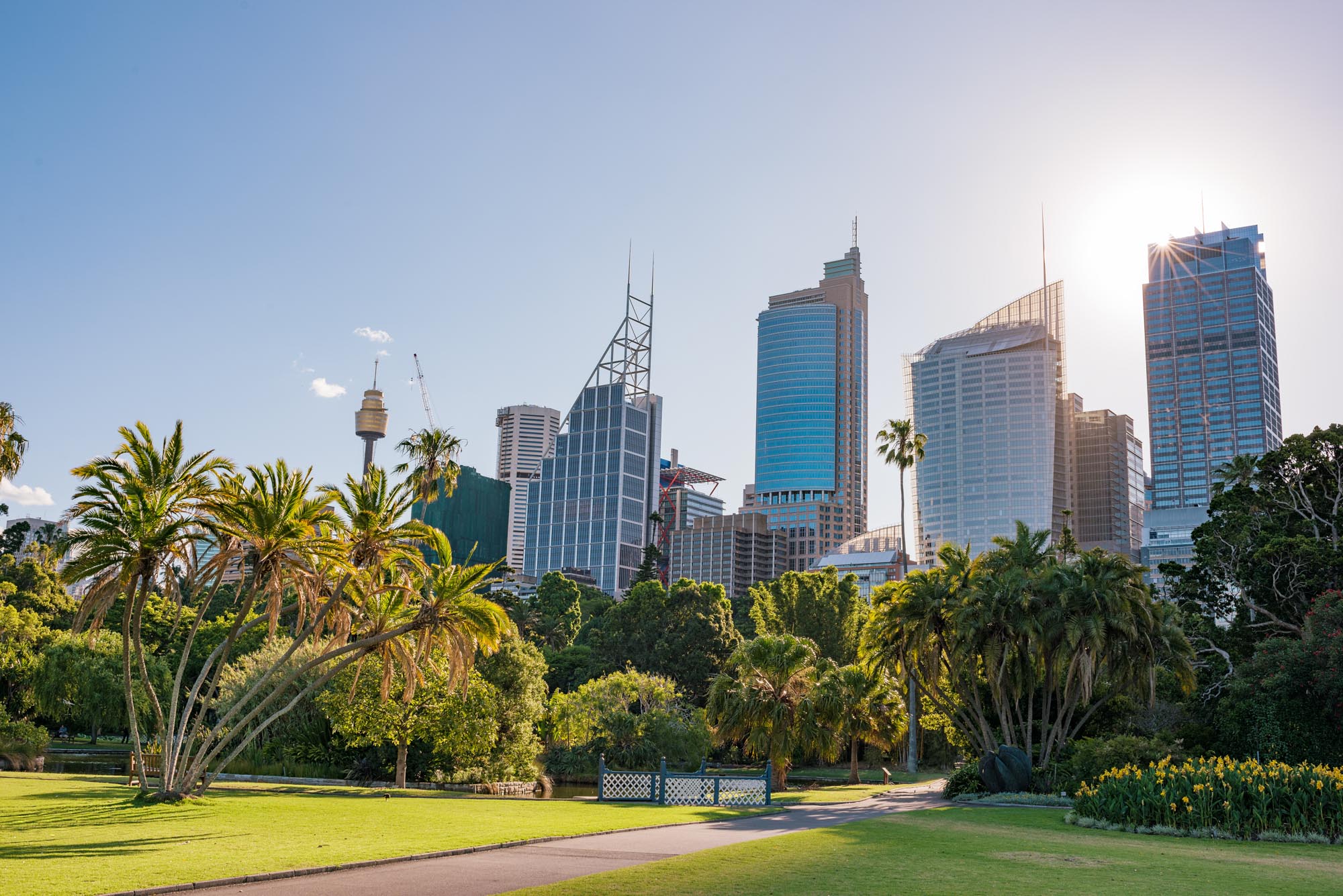 The views of the Botanic Garden - Sydney Opera House to Hyde Park Walking Tour