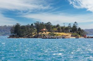 Shark Island - PLaces to visit on Sydney Harbour