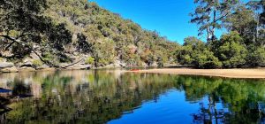 Garigal National Park - Middle Harbour