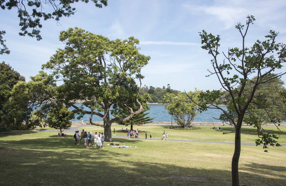 Best Sydney Picnic Spots