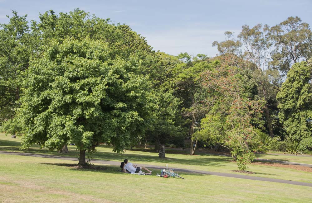 Best Picnic Spots in Sydney