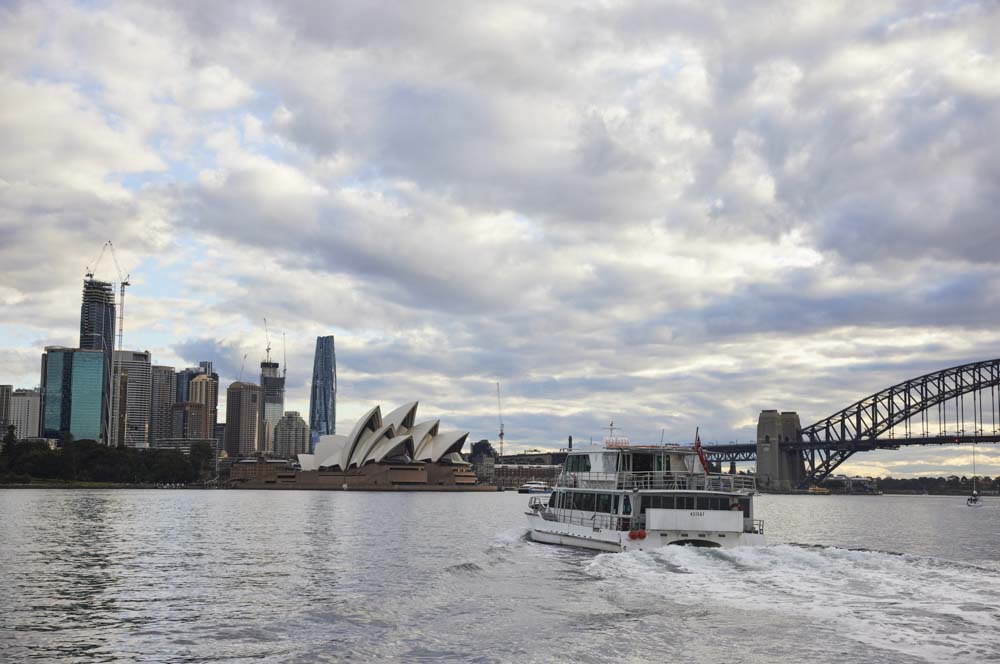 Sydney Harbour Cruises - Sydney Princess Cruises